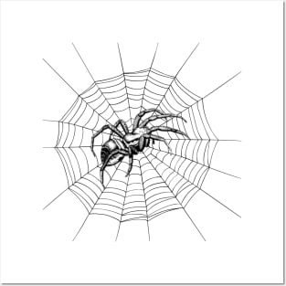 Spider Web Arachnophobia Bugs Halloween Gifts Posters and Art